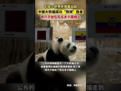 独家披露,浙企副董承,诺公开人才,中国体彩,中国竞猜官网,中国体育竞猜平台,中国足球彩民之家网