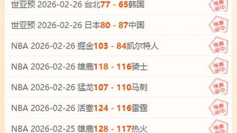 美因茨击败多特，确保保级关键战胜利