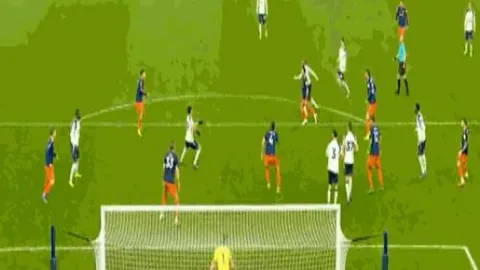 中国足协加大职业联赛薪酬清偿整治力度——新华网资讯